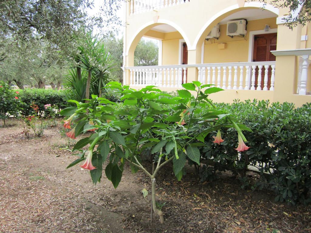 Dimaras Apartments Vasilikos  Room photo