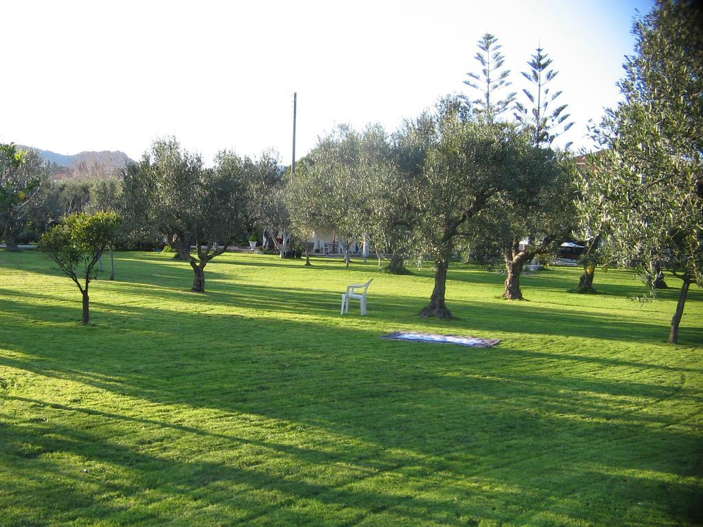 Dimaras Apartments Vasilikos  Exterior photo
