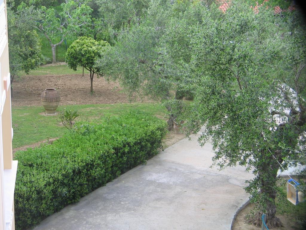 Dimaras Apartments Vasilikos  Exterior photo