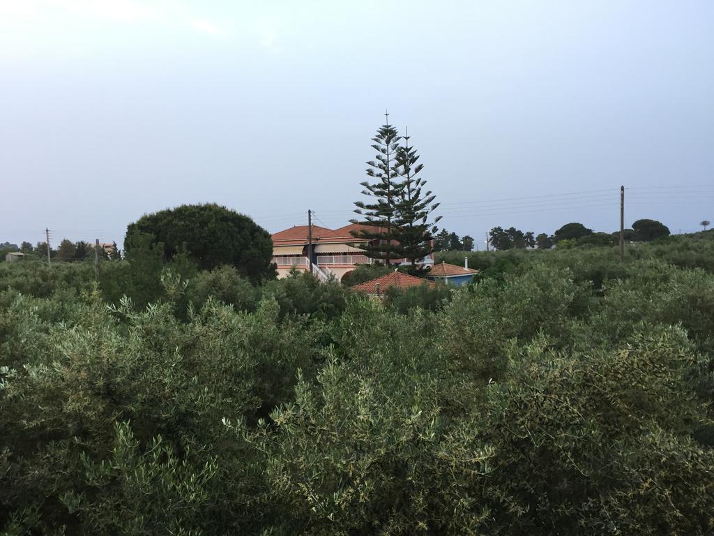 Dimaras Apartments Vasilikos  Exterior photo
